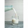 Tradineur - Botella de cristal decorada para leche, tapa de rosca, botella para zumos, batidos, licuados de verduras, frigorífic