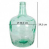 Tradineur - Garrafa de vidrio sin tapón, modelo Apple, 39 x 25,5 cm, damajuana, botella de vidrio liso para almacenar agua, vino