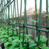 Tradineur - Varilla, tutor de acero plastificado para plantas, soporte, estaca, guía para tomates, judías (Verde - 1,1 x 150 cm)