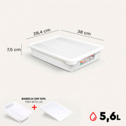 Tradineur - Bandeja frigorífica de almacenamiento con tapa, Nº 4 - HG, plástico, reutilizable, guardar alimentos, fabricada en E