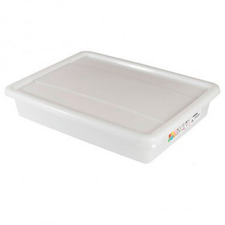 Tradineur - Bandeja frigorífica de almacenamiento con tapa, Nº 5 - HG, plástico, reutilizable, guardar alimentos, fabricada en E