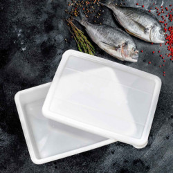Tradineur - Bandeja frigorífica de almacenamiento con tapa, Nº 5 - HG, plástico, reutilizable, guardar alimentos, fabricada en E