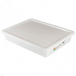 Tradineur - Bandeja frigorífica de almacenamiento con tapa, Nº 6 - HG, plástico, reutilizable, guardar alimentos, fabricada en E
