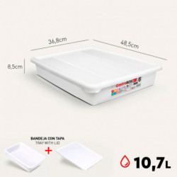 Tradineur - Bandeja frigorífica de almacenamiento con tapa, Nº 6 - HG, plástico, reutilizable, guardar alimentos, fabricada en E