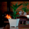 Tradineur - Maceta Rattan cuadrada de plástico, macetero, tiesto, recipiente para plantas, flores, jardín, terraza, hogar, fabri