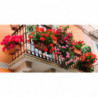 Tradineur - Soporte de metal para jardinera de balcón, incluye ganchos, colgar maceteros, plantas, flores, parapetos y barandas,