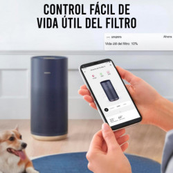 Smartmi - Filtro de repuesto para purificador de aire 2 - Filtro HEPA H13, carbón Activo y filtros preliminares - Absorbe polen,