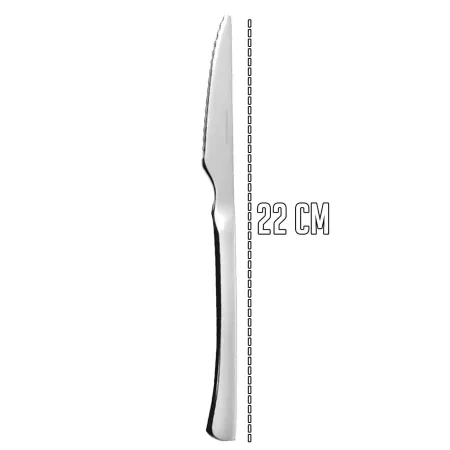 Tradineur - Set de 2 cuchillos chuleteros - Fabricado en acero inoxidable - Ideal para cortar alimentos - 22 x 1,7 x 0,6 cm Tradineur - Set de 2 cuchillos chuleteros - Fabricado en acero inoxidable - Ideal para cortar alimentos - 22 x 1,7 x 0,6 cm