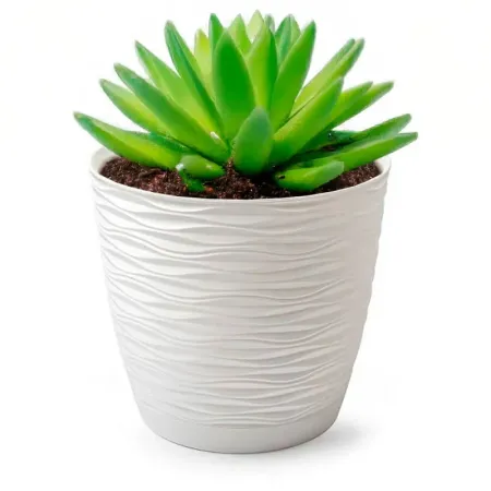 Tradineur - Maceta redonda con plato - Diseño Wind (Ø 17 cm) - Fabricado en plástico - Ideal para jardín exterior, terraza o bal
