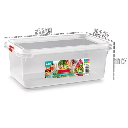 Tradineur - Fiambrera modelo Frost Nº 4 - Fabricado en plástico - Capacidad de 2,65 L - Apto para congelador y microondas - 10 x