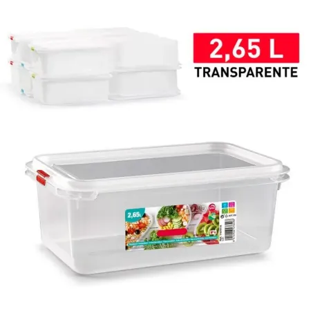 Tradineur - Fiambrera modelo Frost Nº 4 - Fabricado en plástico - Capacidad de 2,65 L - Apto para congelador y microondas - 10 x