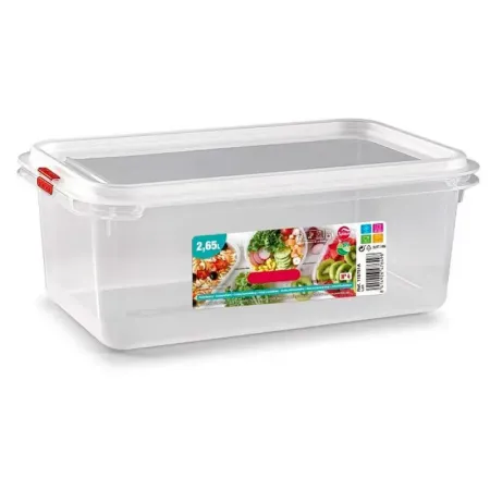 Tradineur - Fiambrera modelo Frost Nº 4 - Fabricado en plástico - Capacidad de 2,65 L - Apto para congelador y microondas - 10 x