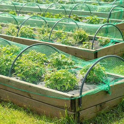 Tradineur - Malla anti pájaros de polietileno, red de protección contra animales, aves para plantas, árboles, jardín, huerto, cultivos (Verde, 3 x 5 m)