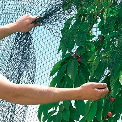 Tradineur - Malla anti pájaros de polietileno, red de protección contra animales, aves para plantas, árboles, jardín, huerto, cultivos (Verde, 3 x 5 m)