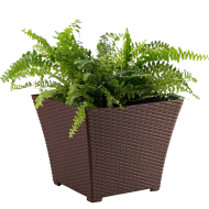 Tradineur - Maceta cuadrada de plástico Rattan, macetero, tiesto, recipiente para plantas, flores, balcón, terraza, jardín (Wengué, 25,3 x 21,5 cm)