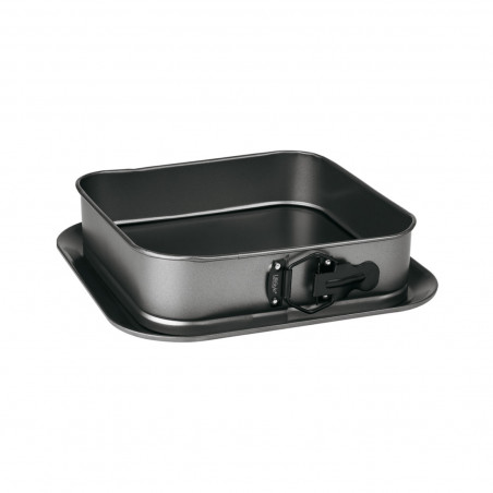 Tradineur - Molde de horno desmontable - cuadrado con bandeja y doble capa antiadherente - 24 cm