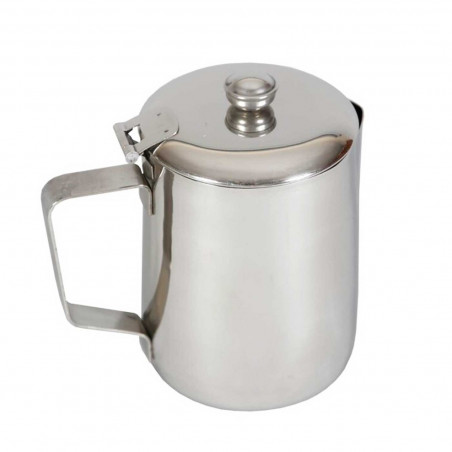Tradineur - Tetera de acero inoxidable, con asa y pico vertedor, capacidad 1 litro, jarra de leche, cafetera, bares, hogar - 18
