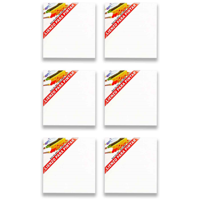 Pack 6 Lienzos blancos para pintar 100% algodón sin ácidos alta calidad 30 x 30 cm ideal para pintores y artistas