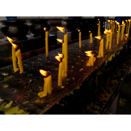 Tradineur - Pack de 4 velas cilíndricas, velas de mesa alargadas, parafina y mecha de algodón, sin perfume, rituales y ceremonias (Amarillo, 17 cm)