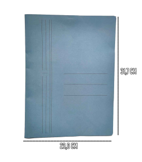 Pack de 10 carpetas de cartón de 31,7 x 23,6 cm, tamaño folio, con gomas y solapas, de color surtido. Juego de 10 carpetas para guardar papeles, ideal para el hogar, oficina o colegio