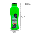 Tradineur - Gel de baño de fragancia original - Sauce con propiedades hidratantes y refrescantes - Capacidad de 650 ml.