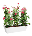 Tradineur - Jardinera de plástico sin plato, tiesto, macetero de polipropileno, recipiente para plantas, flores, balcón, terraza, hogar (Blanco, 60 cm)