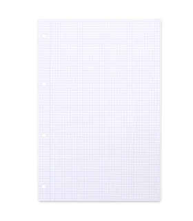 Tradineur - Pack de 100 hojas cuadriculadas A4 perforadas con margen, recambio hojas sueltas para archivador, 4 taladros, papel 90 g, material escolar, oficina