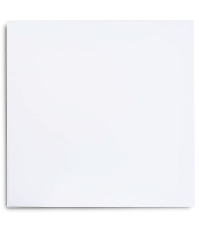 Lienzo en blanco pintura, 100% algodón, preestirado 280 g/m2, listones de madera, apto para todo tipo de pinturas, óleo, acrílica, (20 x 20 cm)