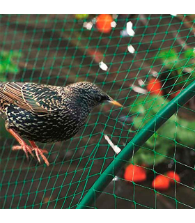 Tradineur - Malla anti pájaros de plástico, red de protección contra animales, aves, proteger frutas, plantas, árboles, jardín, huerto, cultivos (Verde, 2 x 5 m)