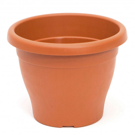 Maceta de plástico redonda marrón, 24,5 cm, 6 litros, modelo Mediterránea para plantas y flores con orificios inferiores, recipi