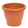 Maceta de plástico redonda marrón, 24,5 cm, 6 litros, modelo Mediterránea para plantas y flores con orificios inferiores, recipi