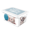 Tradineur – Caja de almacenamiento – Diseño Gatos – Capacidad de 7,5 Litros – Fabricado en España - Contenedor para almacenar juguetes, libros, ropa, mantas