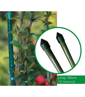 Tradineur - Tutor de bambú plastificado, varilla, guía para plantas, flores, tomates, caña de jardín, estaca para huerto (Verde, 180 cm, Ø 14-16 mm)