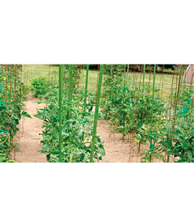 Tradineur - Tutor de bambú plastificado, varilla, guía para plantas, flores, tomates, caña de jardín, estaca para huerto (Verde, 180 cm, Ø 14-16 mm)