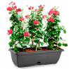 Tradineur - Jardinera de plástico con plato integrado modelo PLFT, polipropileno, tiesto, macetero, recipiente para plantas, jar