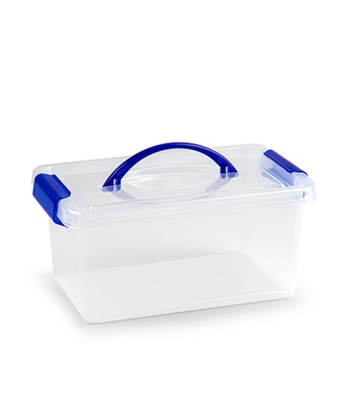 Tradineur - Caja de plástico con tapa de color azul y asa, de 29  x 18,5  x 13 cm,con capacidad para 4 litros. Baúl con tapa para organización del hogar. Arcón de plástico para distintos usos.