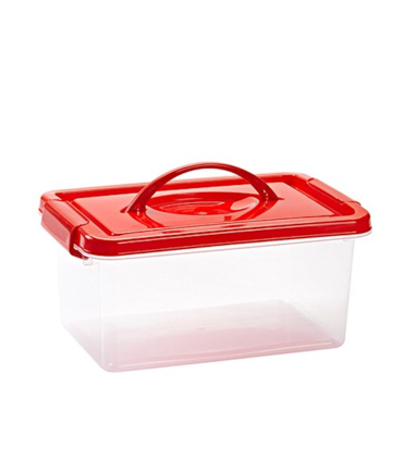 Plastic Forte - Caja de plástico con tapa de color surtido y asa, de 29  x 18,5  x 13 cm, 4 litrosl. Baúl con tapa para organización del hogar. Arcón de plástico para distintos usos