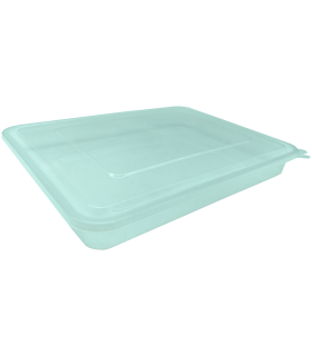 Tradineur - Recipiente transparente para fiambre Nº 3 - Fabricado en Plástico - Almacenamiento de alimentos - Cierre Hermético - 2,5 x 22 x 17 cm