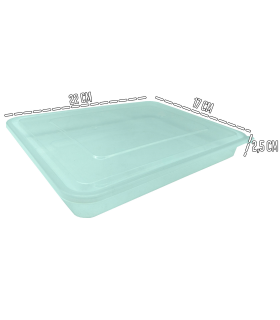 Tradineur - Recipiente transparente para fiambre Nº 3 - Fabricado en Plástico - Almacenamiento de alimentos - Cierre Hermético - 2,5 x 22 x 17 cm