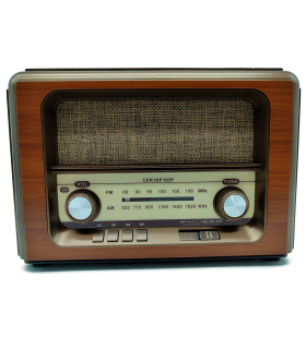 Tradineur - Radio vintage "Hip Hop" portátil - Bluetooth - Bandas AM/FM/SW - Batería recargable - Ranuras USB y TF - Antena retráctil - 15,5 x 24 x 9 cm