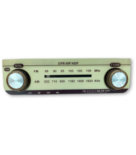 Tradineur - Radio vintage "Hip Hop" portátil - Bluetooth - Bandas AM/FM/SW - Batería recargable - Ranuras USB y TF - Antena retráctil - 15,5 x 24 x 9 cm